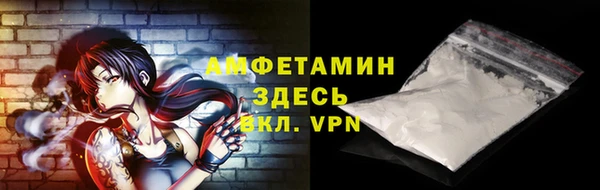 твердый Арсеньев