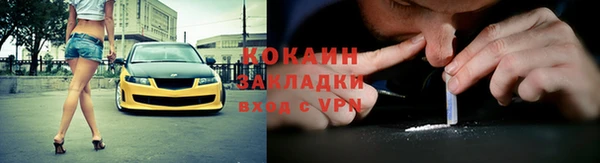 твердый Арсеньев