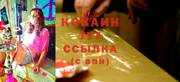 твердый Арсеньев