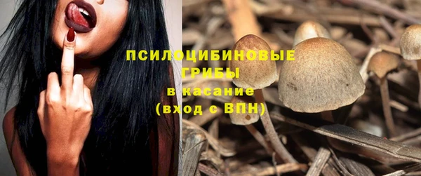 прущие грибы Армянск