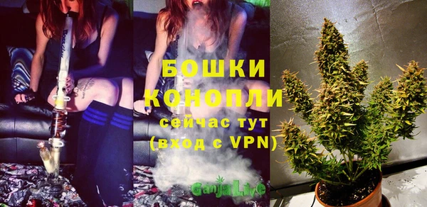 каннабис Аркадак